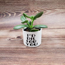 Load image into Gallery viewer, Plant Parent Set of 4 Punny plant pots PLANTS NOT INCLUDED Ceramic pots with cheerful funny sayings on them - My Other Child / Blooms n' Rooms
