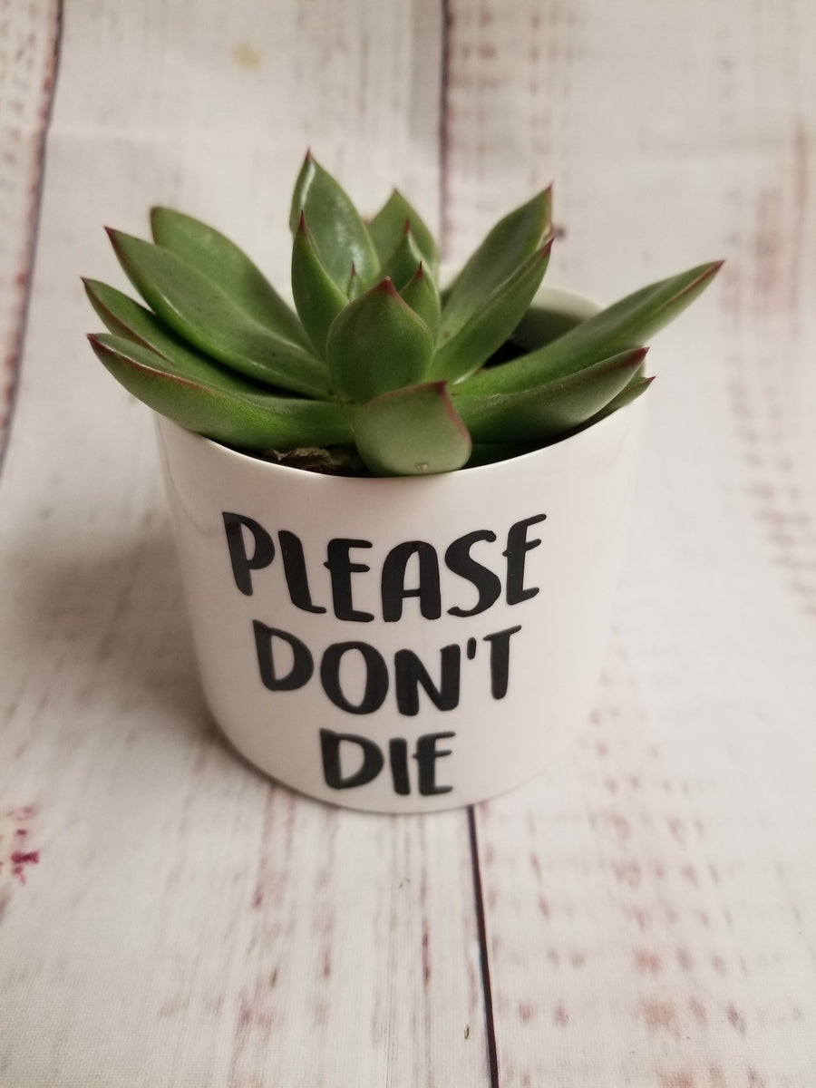please don't die plant pot Punny plant pots. Ceramic pots with cheerful funny sayings on them, Fu – My  Other Child / Blooms n' Rooms