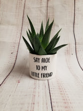 Load image into Gallery viewer, Punny plant pots. Ceramic pots with cheerful funny sayings on them, Funny Plant Pots - My Other Child / Blooms n' Rooms