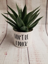 Load image into Gallery viewer, Punny plant pots. Ceramic pots with cheerful funny sayings on them, Funny Plant Pots - My Other Child / Blooms n' Rooms