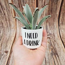 Load image into Gallery viewer, Punny plant pots. Ceramic pots with cheerful funny sayings on them, Funny Plant Pots - My Other Child / Blooms n' Rooms
