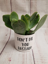 Load image into Gallery viewer, Punny plant pots. Ceramic pots with cheerful funny sayings on them, Funny Plant Pots - My Other Child / Blooms n' Rooms