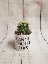 Load image into Gallery viewer, Punny plant pots. Ceramic pots with cheerful funny sayings on them, Funny Plant Pots - My Other Child / Blooms n' Rooms