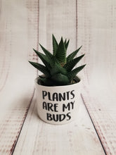 Load image into Gallery viewer, Punny plant pots. Ceramic pots with cheerful funny sayings on them, Funny Plant Pots - My Other Child / Blooms n' Rooms