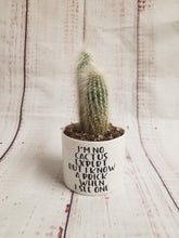 Load image into Gallery viewer, Punny plant pots. Ceramic pots with cheerful funny sayings on them, Funny Plant Pots - My Other Child / Blooms n' Rooms