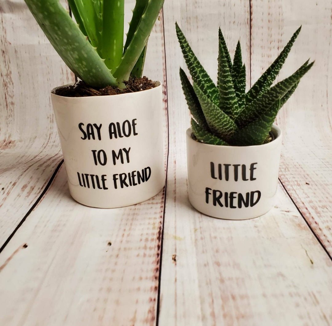 say aloe to my little friend plant pot Set of 2
