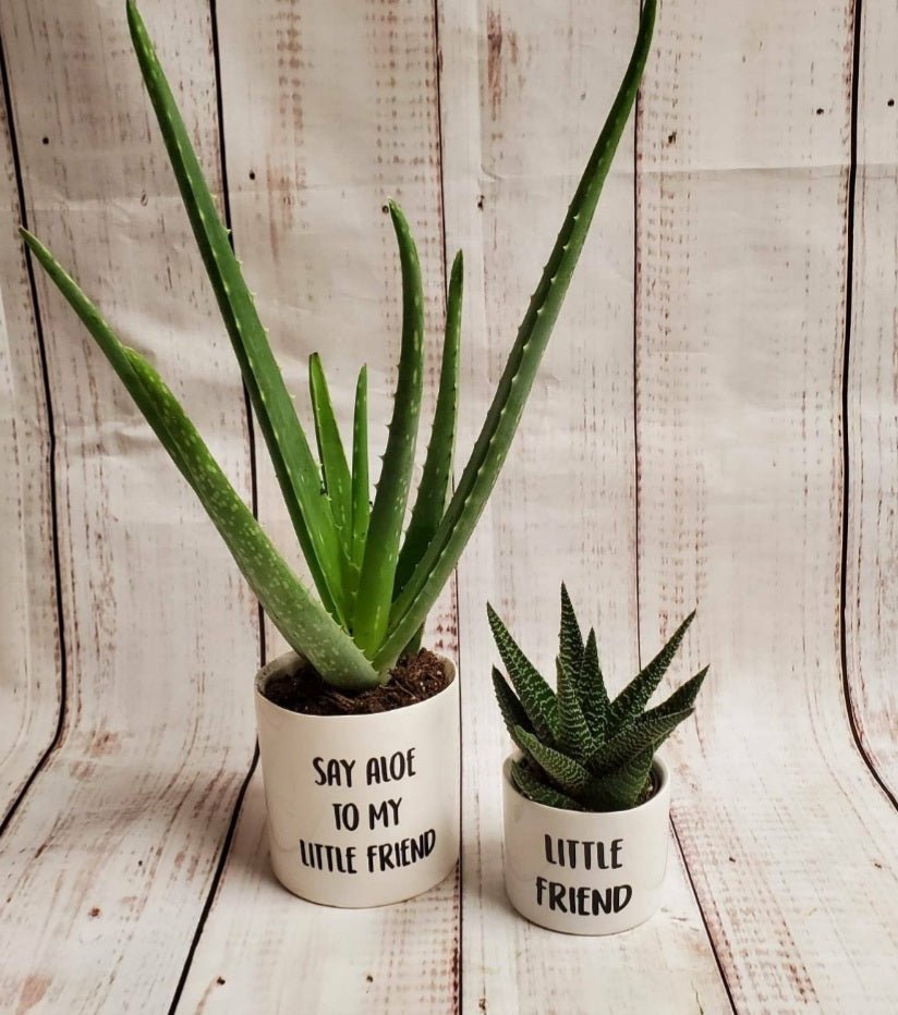 say aloe to my little friend plant pot Set of 2