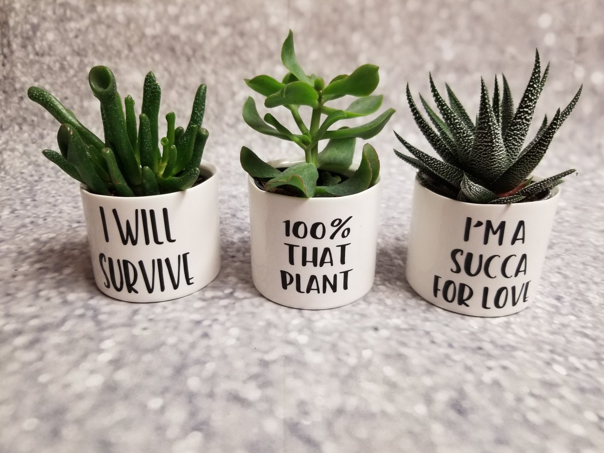plant pots with funny sayings Set of 3 Punny plant pots PLANTS NOT INCLUDED Ceramic pots with cheerf – My Other Child / Blooms n' Rooms