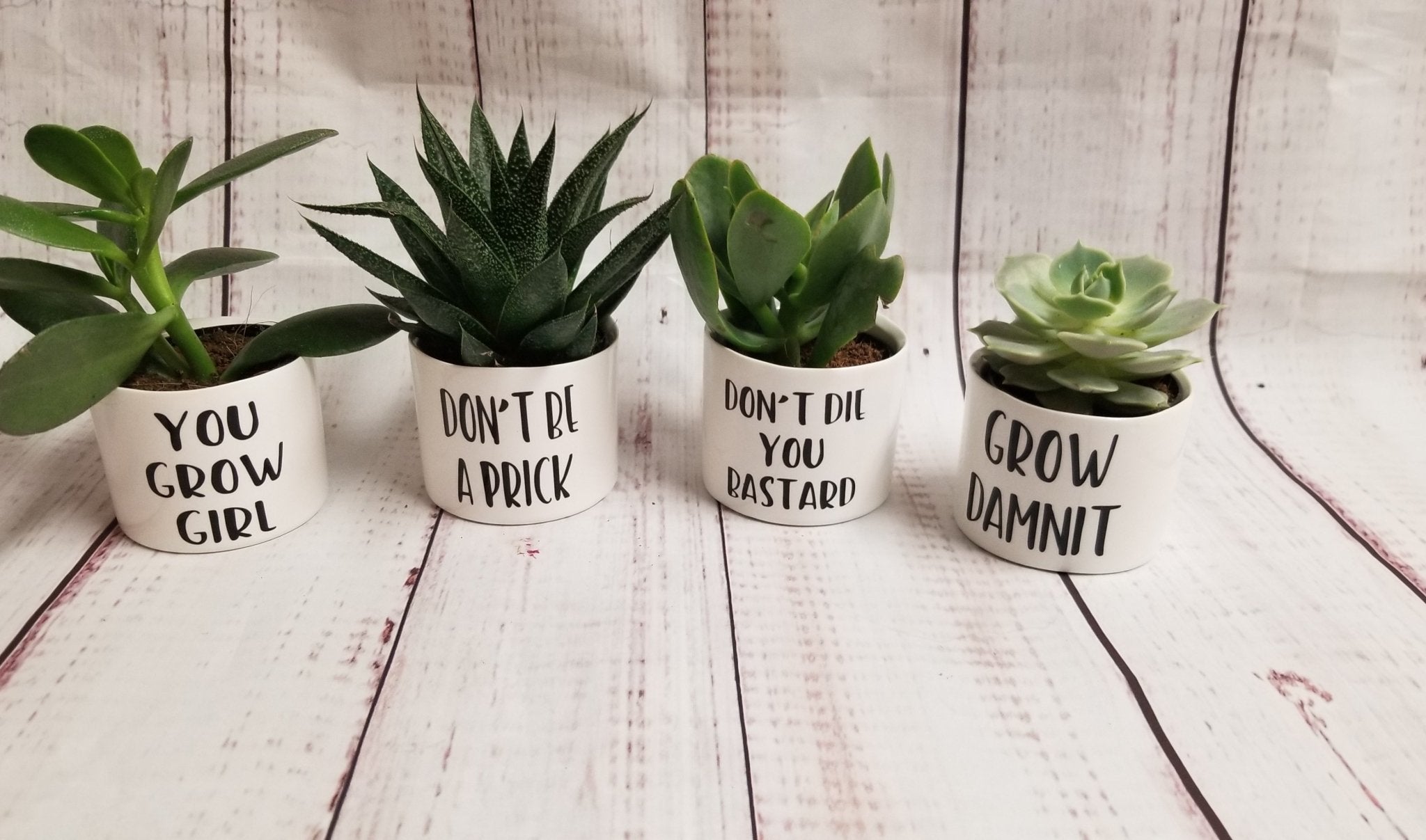 cute sayings for plant pots Set of 4 Punny plant pots PLANTS NOT INCLUDED Ceramic pots with cheerf – My Other Child / Blooms n' Rooms