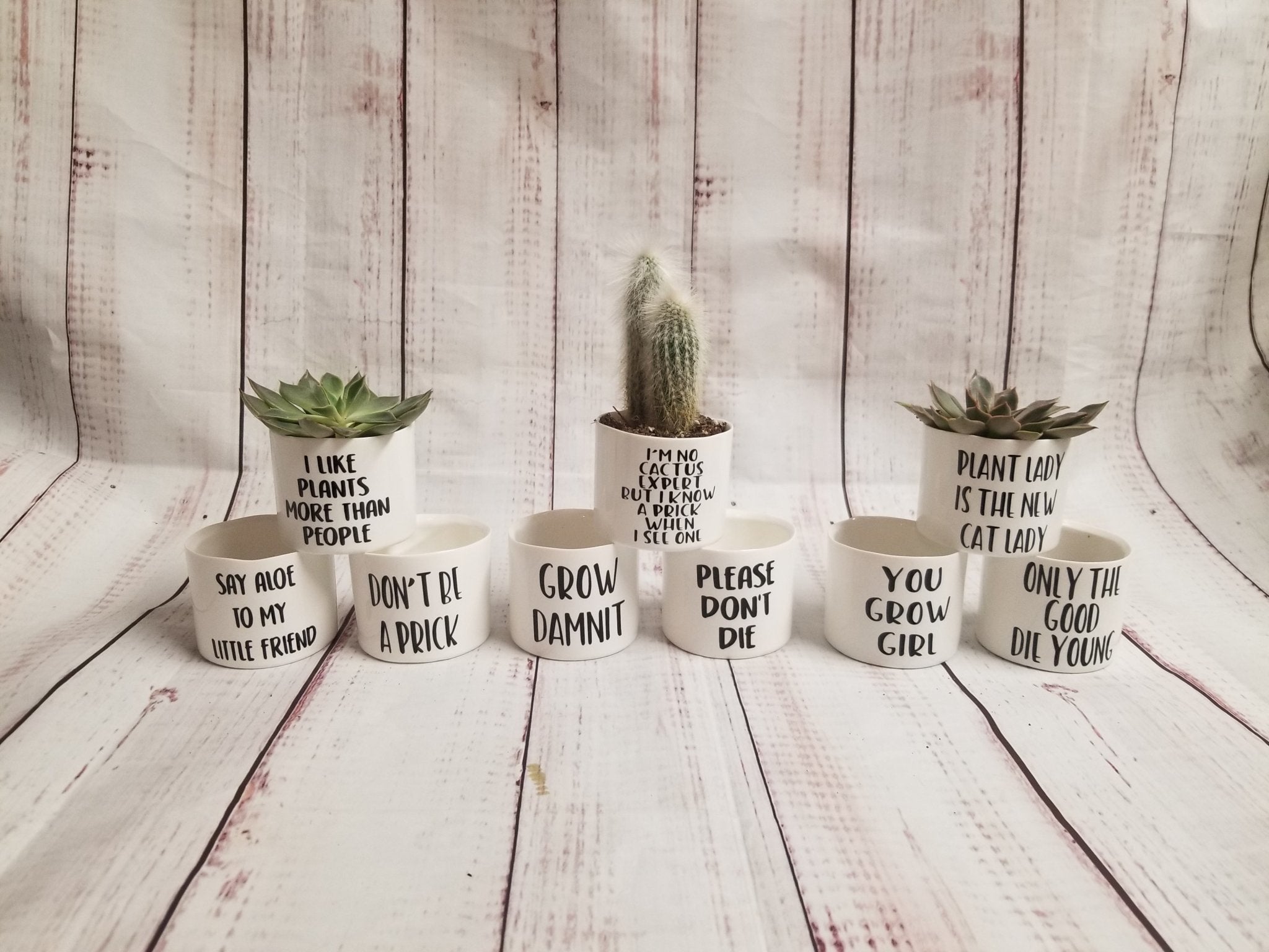 funny plant pots Set of 9 Punny plant pots PLANTS NOT INCLUDED Ceramic pots with cheerf – My Other Child / Blooms n' Rooms