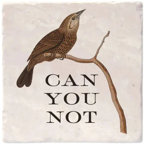 Can you Not | Effin' Birds Coaster - My Other Child / Blooms n' Rooms