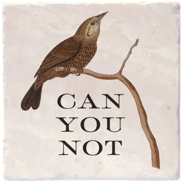 Can you Not | Effin' Birds Coaster - My Other Child / Blooms n' Rooms