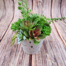 Load image into Gallery viewer, Artificial arrangement | Succulent and Green - My Other Child / Blooms n&#39; Rooms