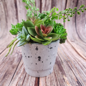 Artificial arrangement | Succulent and Green - My Other Child / Blooms n' Rooms