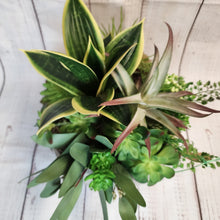 Load image into Gallery viewer, Artificial arrangement | Succulent Bowl - My Other Child / Blooms n&#39; Rooms
