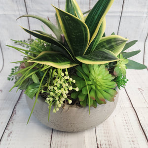 Artificial arrangement | Succulent Bowl - My Other Child / Blooms n' Rooms