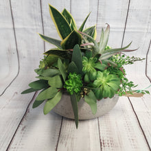 Load image into Gallery viewer, Artificial arrangement | Succulent Bowl - My Other Child / Blooms n&#39; Rooms