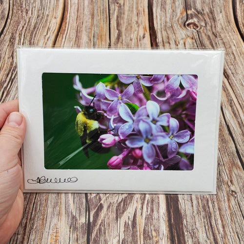 Bee and Lilac up close | Blank Photo Card - My Other Child / Blooms n' Rooms