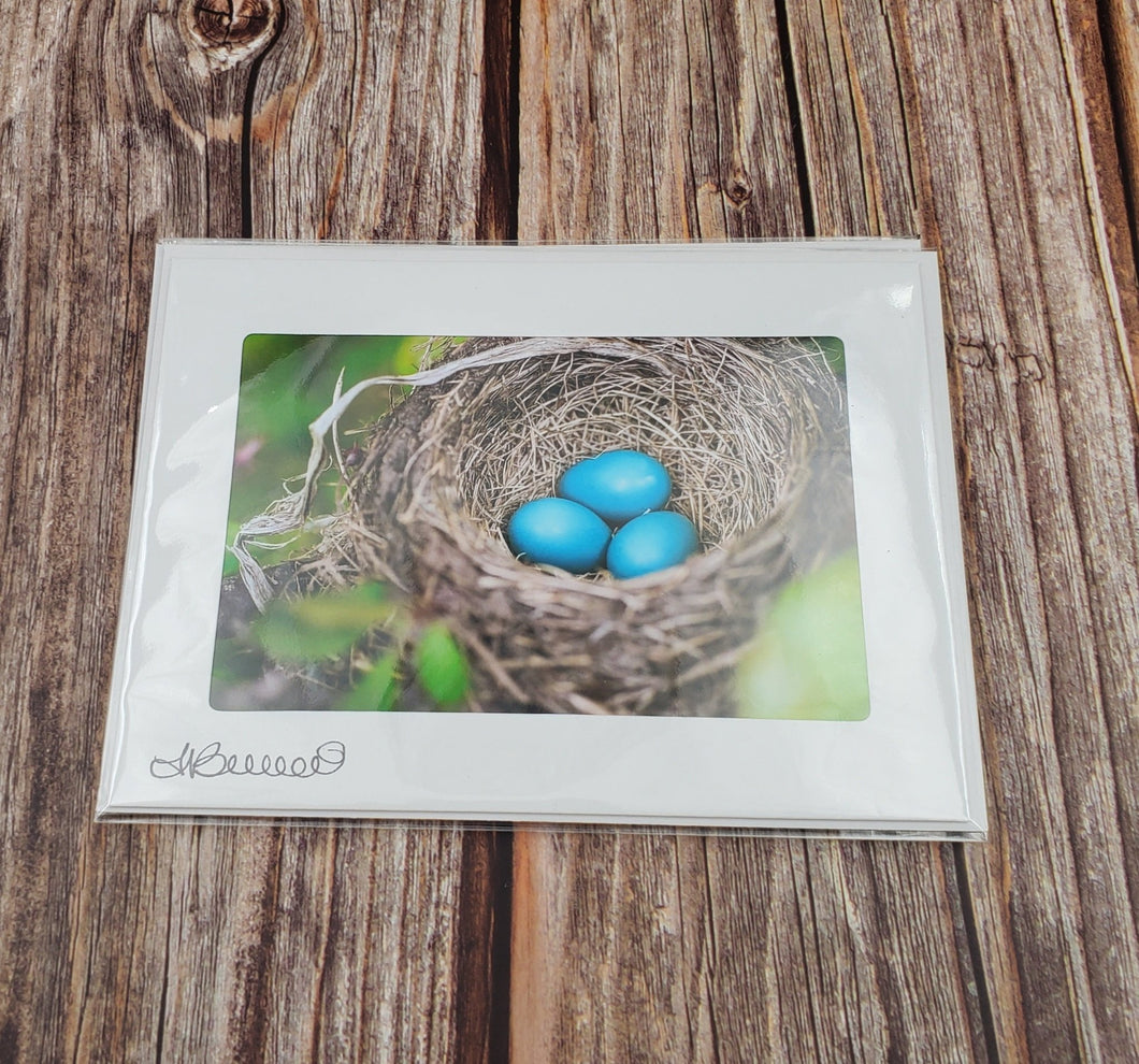 Birds Nest w/eggs | Blank Photo Card - My Other Child / Blooms n' Rooms