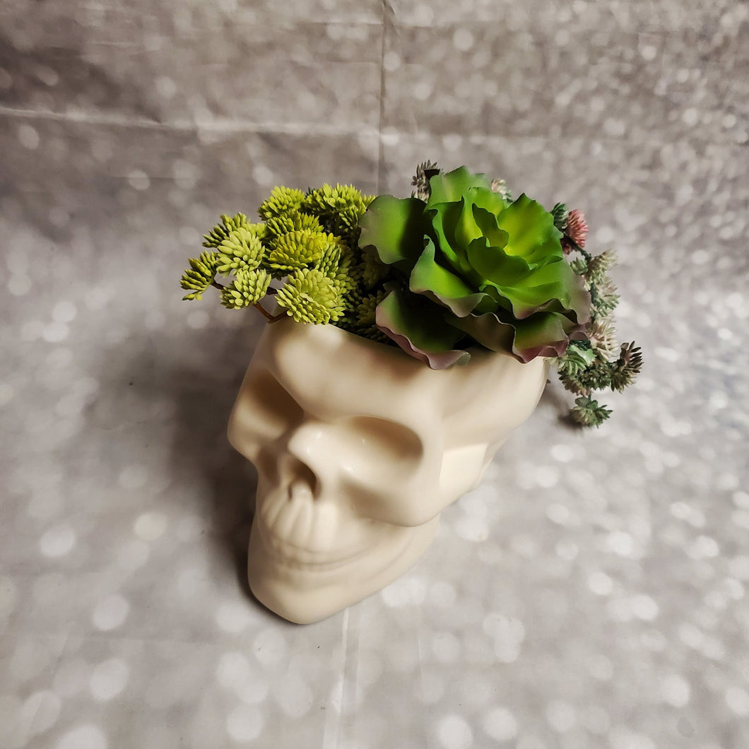 Bone Skull Planter | Ceramic - My Other Child / Blooms n' Rooms