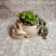 Load image into Gallery viewer, Bone Skull Planter | Ceramic - My Other Child / Blooms n&#39; Rooms