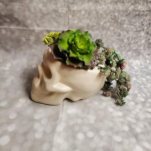 Bone Skull Planter | Ceramic - My Other Child / Blooms n' Rooms