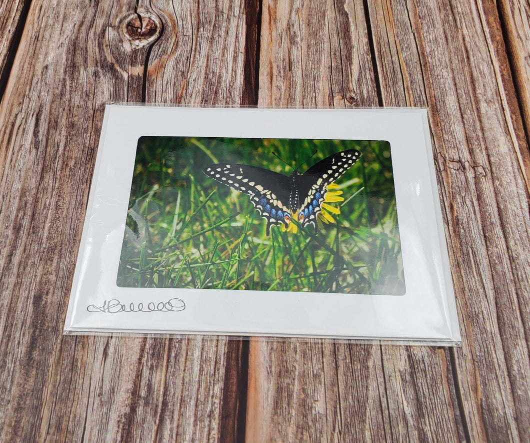 Butterfly | Blank Photo Card - My Other Child / Blooms n' Rooms