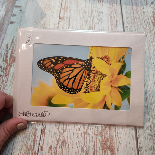 Butterfly with Sunflower | Blank Photo Card - My Other Child / Blooms n' Rooms