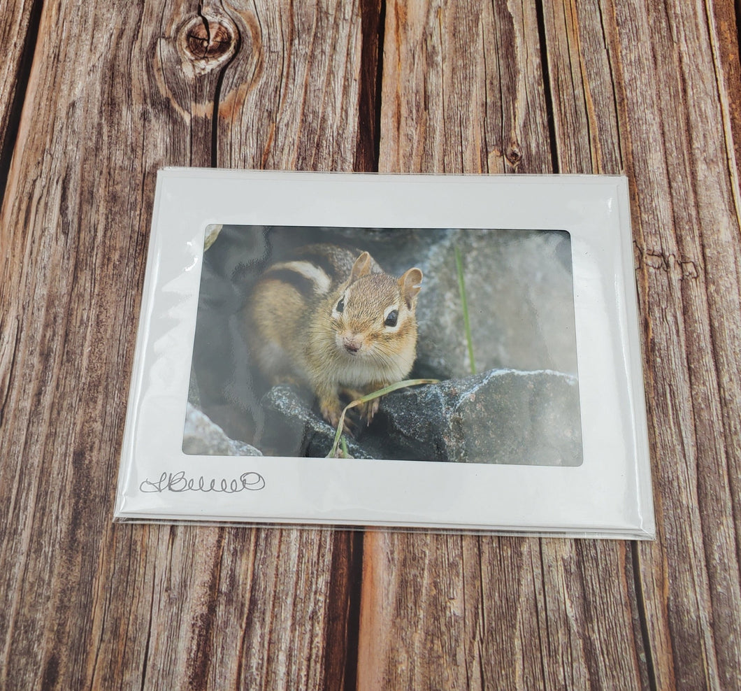 Chipmunk | Blank Photo Card - My Other Child / Blooms n' Rooms