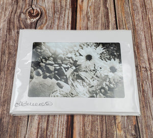 Greyscale Daisies and Stones | Blank Photo Card - My Other Child / Blooms n' Rooms