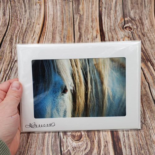 Horse up close | Blank Photo Card - My Other Child / Blooms n' Rooms