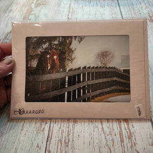 Horses at Fence | Blank Photo Card - My Other Child / Blooms n' Rooms