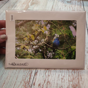 Indigo Bunting | Blank Photo Card - My Other Child / Blooms n' Rooms