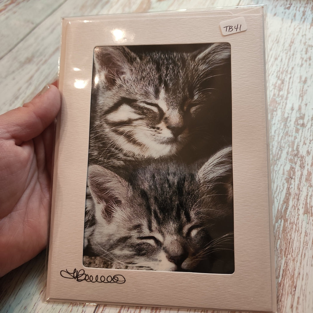 Kittens | Blank Photo Card - My Other Child / Blooms n' Rooms