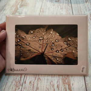 Leaf with raindrops | Blank Photo Card - My Other Child / Blooms n' Rooms