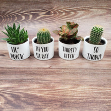 Load image into Gallery viewer, Naughty Plants Set of 4 Punny plant pots PLANTS NOT INCLUDED Ceramic pots with cheerful funny sayings on them - My Other Child / Blooms n&#39; Rooms