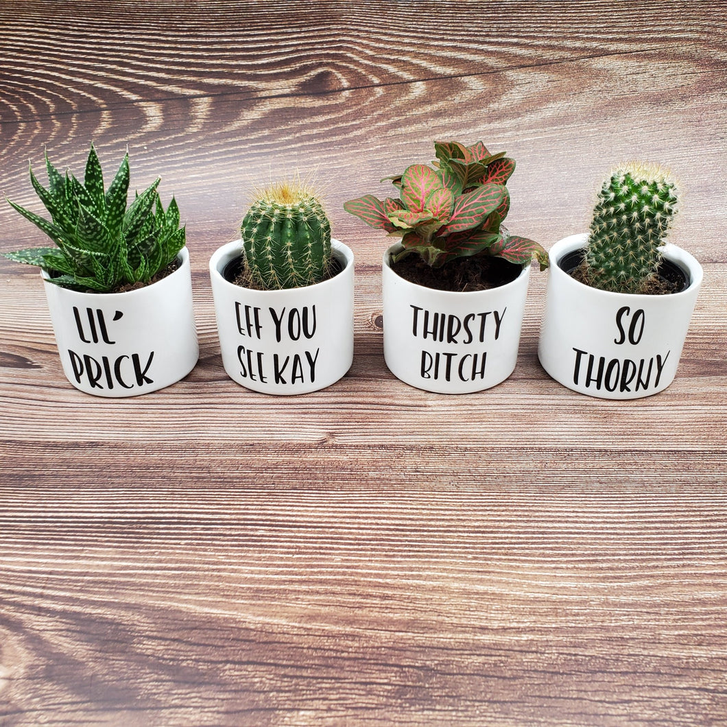 Naughty Plants Set of 4 Punny plant pots PLANTS NOT INCLUDED Ceramic pots with cheerful funny sayings on them - My Other Child / Blooms n' Rooms