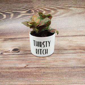 Naughty Plants Set of 4 Punny plant pots PLANTS NOT INCLUDED Ceramic pots with cheerful funny sayings on them - My Other Child / Blooms n' Rooms