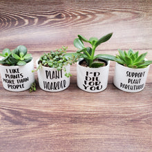 Load image into Gallery viewer, Plant Parent Set of 4 Punny plant pots PLANTS NOT INCLUDED Ceramic pots with cheerful funny sayings on them - My Other Child / Blooms n&#39; Rooms