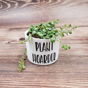 Plant Parent Set of 4 Punny plant pots PLANTS NOT INCLUDED Ceramic pots with cheerful funny sayings on them - My Other Child / Blooms n' Rooms