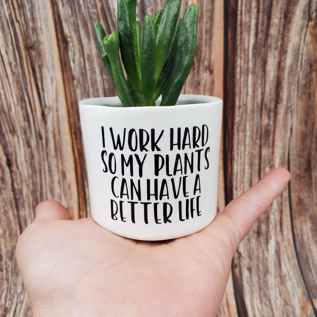 Punny plant pots. Ceramic pots with cheerful funny sayings on them, Funny Plant Pots - My Other Child / Blooms n' Rooms