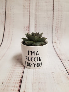 Punny plant pots. Ceramic pots with cheerful funny sayings on them, Funny Plant Pots - My Other Child / Blooms n' Rooms