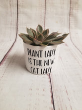 Load image into Gallery viewer, Punny plant pots. Ceramic pots with cheerful funny sayings on them, Funny Plant Pots - My Other Child / Blooms n&#39; Rooms