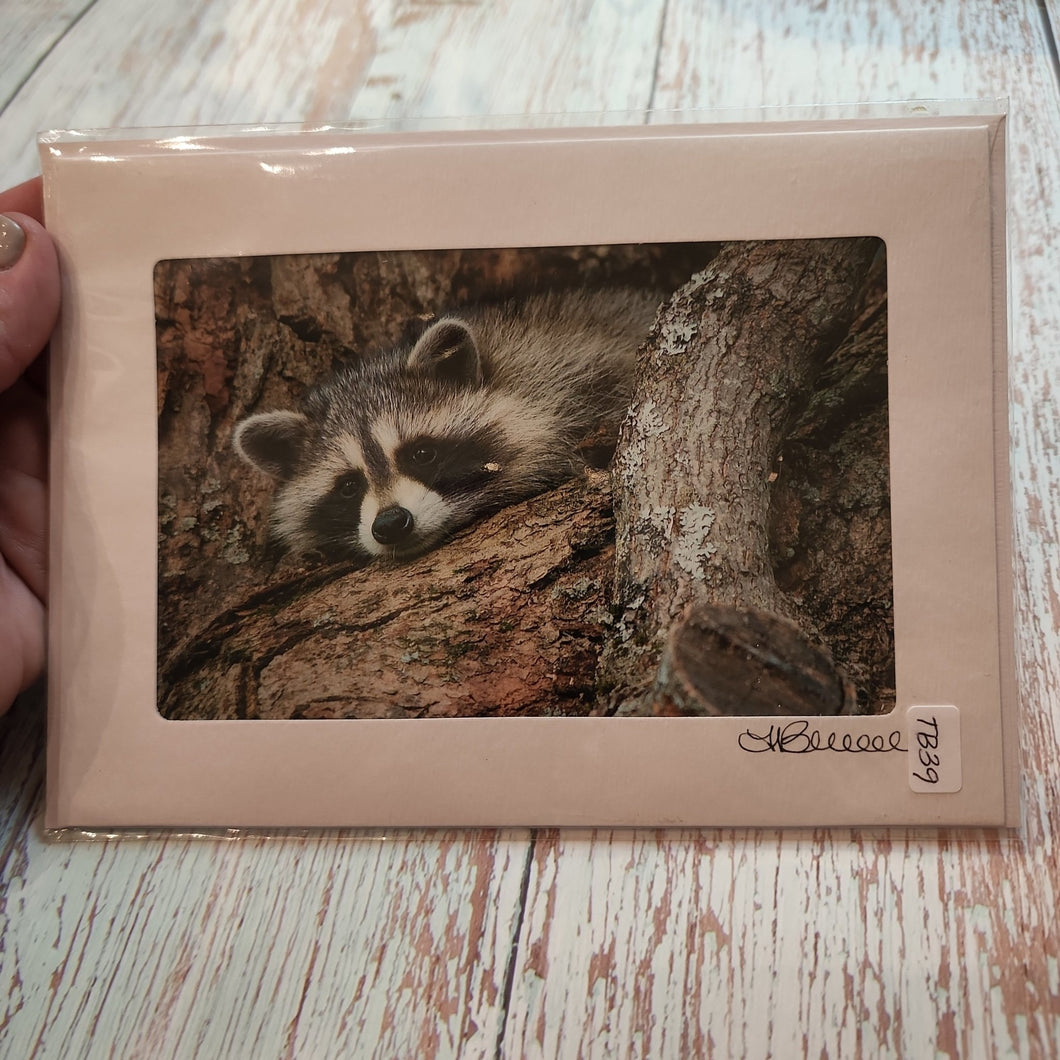 Raccoon | Blank Photo Card - My Other Child / Blooms n' Rooms