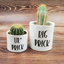 Load image into Gallery viewer, Set of 2 - Big Prick / Lil&#39; Prick - My Other Child / Blooms n&#39; Rooms