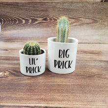 Load image into Gallery viewer, Set of 2 - Big Prick / Lil&#39; Prick - My Other Child / Blooms n&#39; Rooms