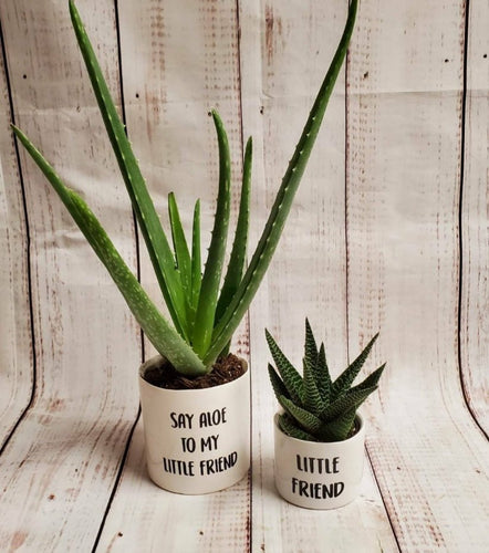 Set of 2 - Say Aloe to My Little Friend / Little Friend - My Other Child / Blooms n' Rooms