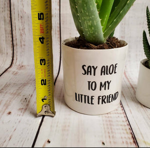 Set of 2 - Say Aloe to My Little Friend / Little Friend - My Other Child / Blooms n' Rooms
