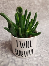 Load image into Gallery viewer, Set of 3 Punny plant pots PLANTS NOT INCLUDED Ceramic pots with cheerful funny sayings on them - My Other Child / Blooms n&#39; Rooms