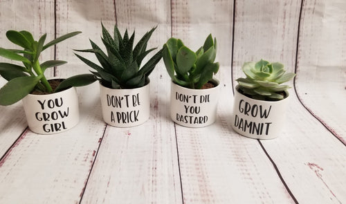 Set of 4 Punny plant pots PLANTS NOT INCLUDED Ceramic pots with cheerful funny sayings on them - My Other Child / Blooms n' Rooms